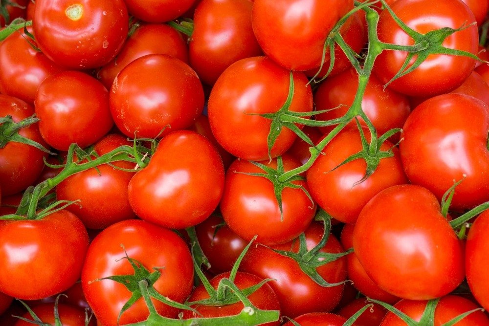 ar pomidorai naudingi riebalams deginti eft svorio metimas