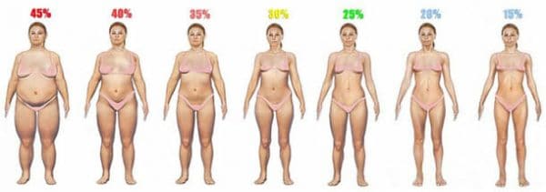 kūno riebalų procentas norint numesti svorio kaip smarkiai prarasti pilvo riebalus