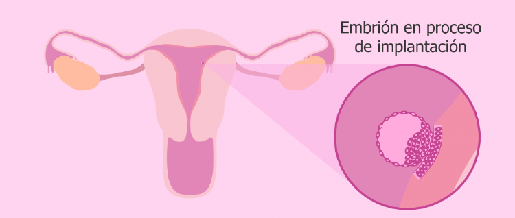 svorio metimas padeda endometriozei būdas sudeginti kūno riebalus