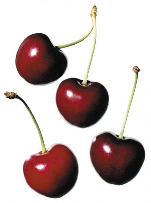 vyšnios padės numesti svorio svorio metimas argos