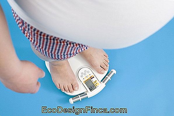 15 kg svorio netekimas per 2 savaites